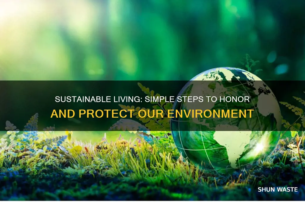 how can we respect our environment