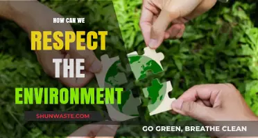 Sustainable Living: Simple Steps to Honor and Protect Our Planet