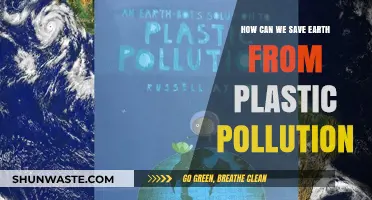 Earth's Plastic Crisis: Solutions for a Sustainable Future