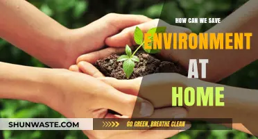 Simple Home Habits to Protect Our Planet and Save Environment