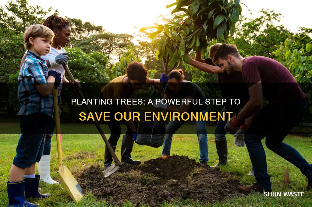 how can we save environment by planting trees