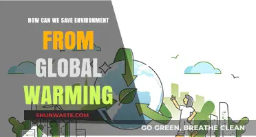 Sustainable Solutions: Combating Global Warming to Protect Our Environment