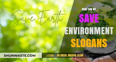 Powerful Slogans to Inspire Action and Protect Our Environment