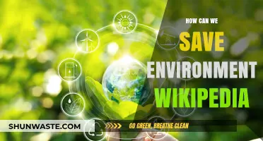 Sustainable Practices: How to Protect and Preserve Our Environment Effectively