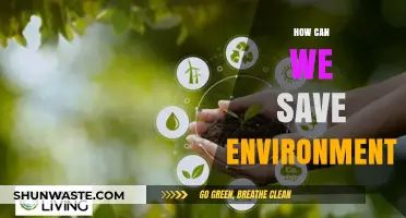 Sustainable Living: Simple Steps to Protect and Preserve Our Planet
