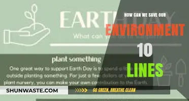 Sustainable Steps: 10 Simple Ways to Protect Our Environment