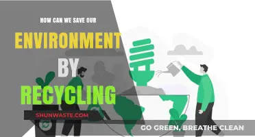 Recycling for a Greener Future: Simple Steps to Save Our Environment