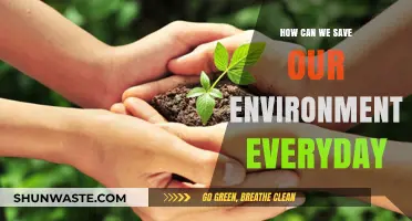 Daily Eco-Friendly Habits to Protect Our Planet and Preserve Nature