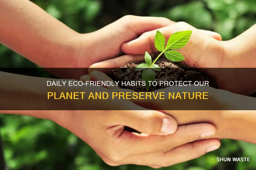 how can we save our environment everyday