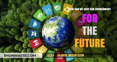 Sustainable Steps: Securing Our Environment for Future Generations