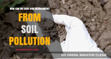 Combating Soil Pollution: Sustainable Strategies to Protect Our Environment