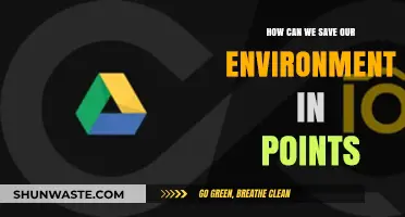 Sustainable Steps: Practical Ways to Protect Our Environment Effectively