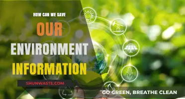 Sustainable Practices to Protect and Preserve Our Environment Information
