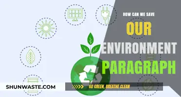 Sustainable Steps: Practical Ways to Protect and Preserve Our Environment