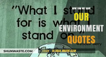 Inspiring Quotes to Guide Our Journey in Saving the Environment