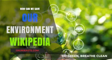 Sustainable Practices to Protect and Preserve Our Environment: A Comprehensive Guide