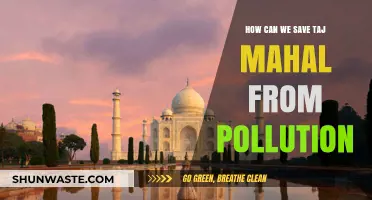 Preserving Taj Mahal: Strategies to Combat Pollution and Protect Heritage