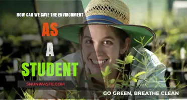 Eco-Friendly Steps: How Students Can Protect Our Planet Daily