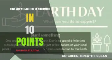 Sustainable Steps: 10 Practical Ways to Protect Our Planet