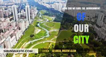 Sustainable Urban Living: Practical Steps to Protect Our City's Environment