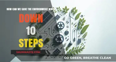 Sustainable Living: 10 Practical Steps to Protect Our Environment