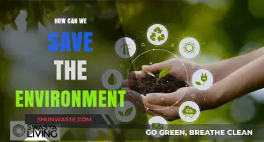 Sustainable Steps: Practical Ways to Protect and Preserve Our Planet