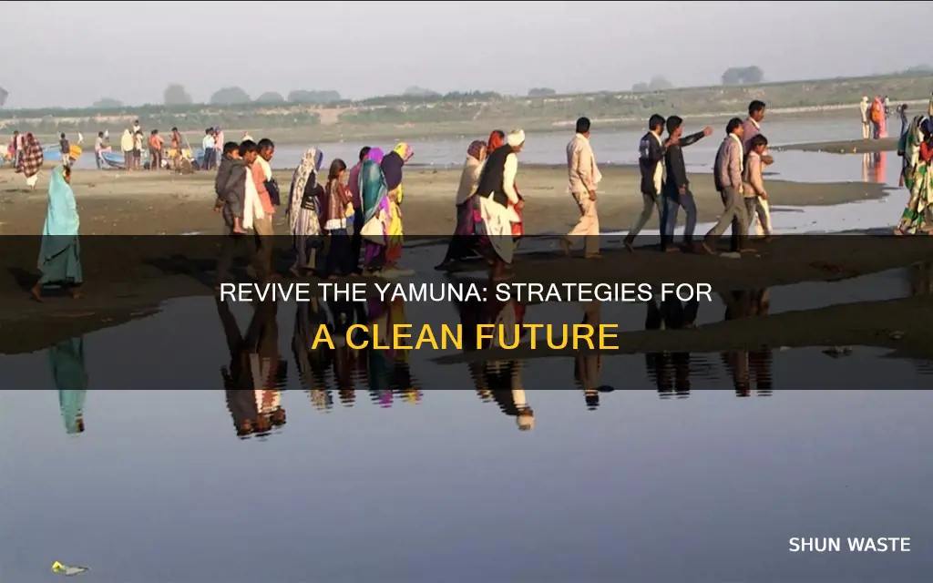 how can we save yamuna river from pollution