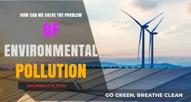 Unveiling Solutions: A Guide to Combating Environmental Pollution