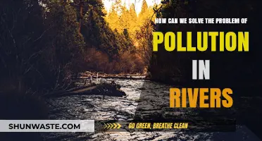 Clean Rivers: Strategies to Reverse Pollution and Restore Nature's Flow