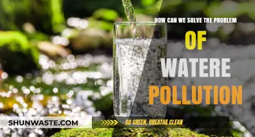 Clean Water, Healthy Planet: Strategies to Combat Water Pollution