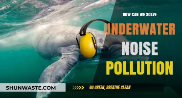 Dive into Solutions: Reducing Underwater Noise Pollution