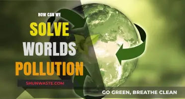 Global Solutions: Uniting to Beat Pollution