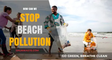 Beach Clean-Up Strategies: Protecting Our Coastal Paradise