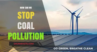 Clean Energy Solutions: Strategies to Reduce Coal's Environmental Impact