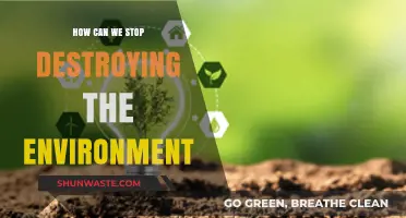 Sustainable Solutions: How to Halt Environmental Destruction and Protect Our Planet