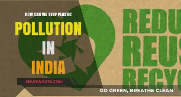 India's Plastic Crisis: Strategies for a Sustainable Future