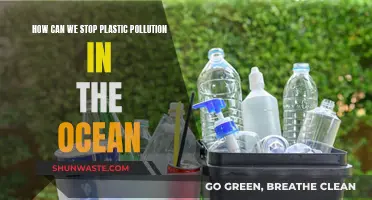 Ocean Plastic Pollution: Solutions for a Sustainable Future