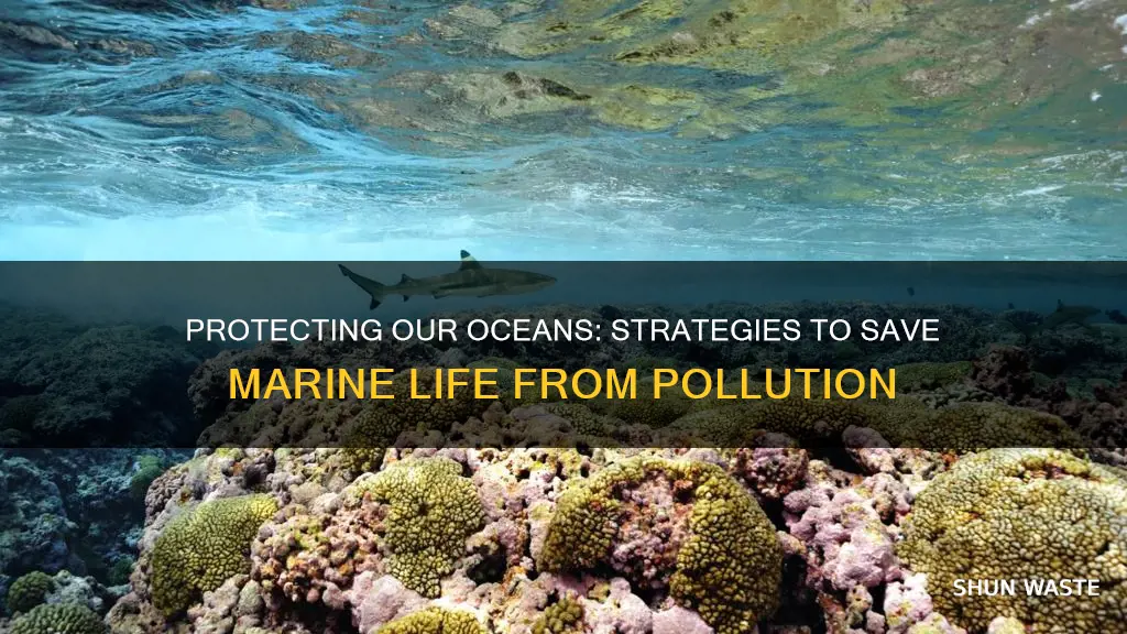 how can we stop polluted marine life