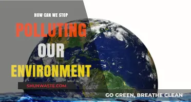 Sustainable Solutions: How to End Environmental Pollution and Protect Our Planet