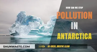 Preserving Antarctica's Pristine Beauty: Strategies to Combat Pollution