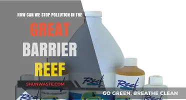 Protecting the Great Barrier Reef: Strategies to Combat Pollution