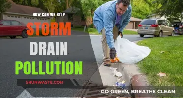 Prevent Stormwater Pollution: Effective Strategies for a Greener Future