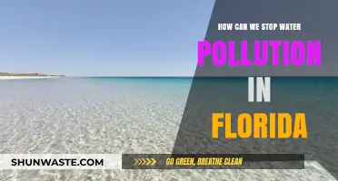 Florida's Future: Stop Water Pollution Now!