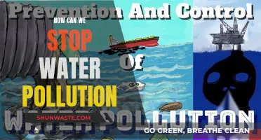 Water Pollution: Strategies for a Cleaner Future