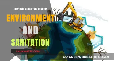 Sustaining a Healthy Environment: Sanitation Strategies for a Greener Future
