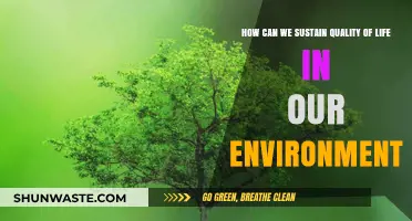 Sustaining Quality of Life: Eco-Friendly Practices for a Thriving Environment