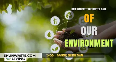 Sustainable Living: Simple Steps to Protect and Preserve Our Planet