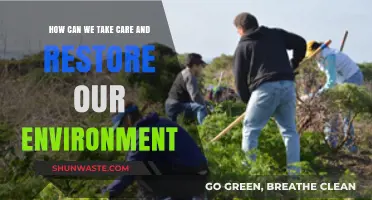 Sustainable Steps: Restoring Our Environment Through Care and Action