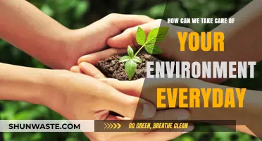 Daily Eco-Friendly Habits: Simple Ways to Protect Our Environment