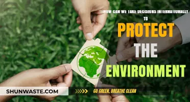 Global Environmental Governance: Strategies for Unified Eco-Protection Decisions